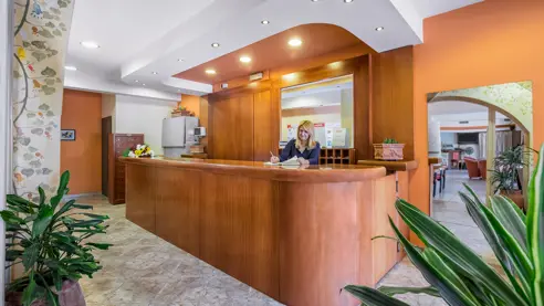 Alea Hotel reception