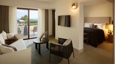 Deluxe suite (2-4 pers.) 
