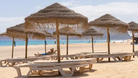Solstole og parasoller på stranden 