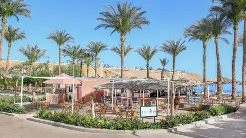 Beach bar