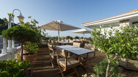 Tagterrase med beplantning 