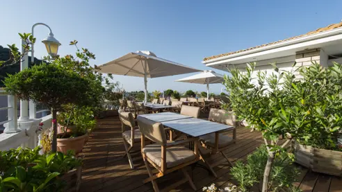 Tagterrase med beplantning 