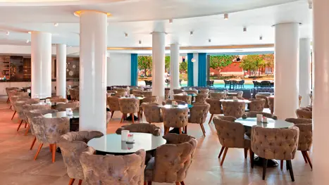 Jungle Bar