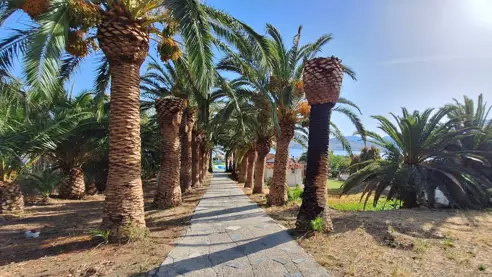 Sti fra hotellet til poolen 