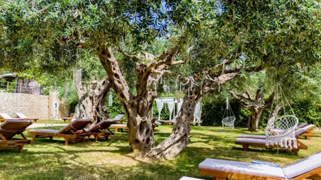 Skyggeområde ved poolen 