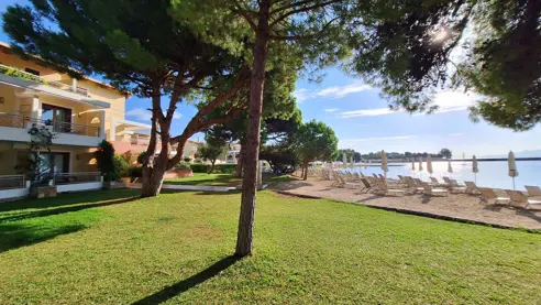 Grønt område ved stranden