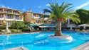 Pool med palmeø