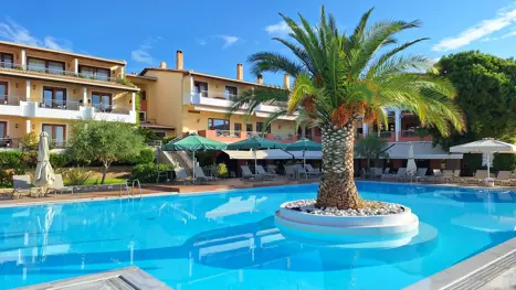 Pool med palmeø