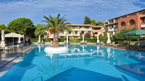 Pool med palmeø