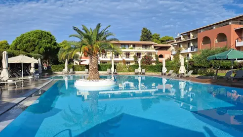 Pool med palmeø
