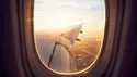Fly t/r