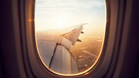 Fly t/r