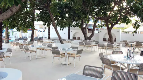 Dejligt caféområde med træer