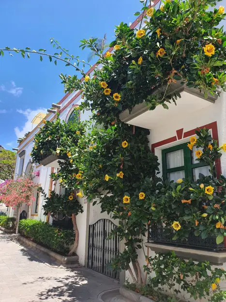 Billy´s Puerto de Mogán Apartments by LIVVO