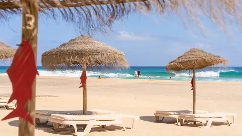 Solstole og parasoller på stranden 