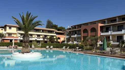 Pool med palmeø