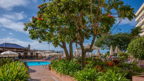 Grønne stier ved poolen 